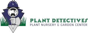 Plant Detectives Wholesale – Wholesale